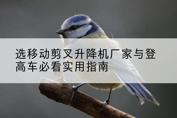城中电动升降机厂家-选移动剪叉升降机厂家与登高车必看实用指南