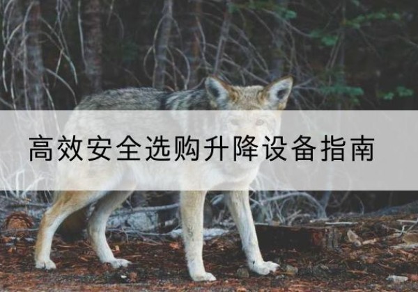 城中升降货梯厂家推荐-*安全选购升降设备指南